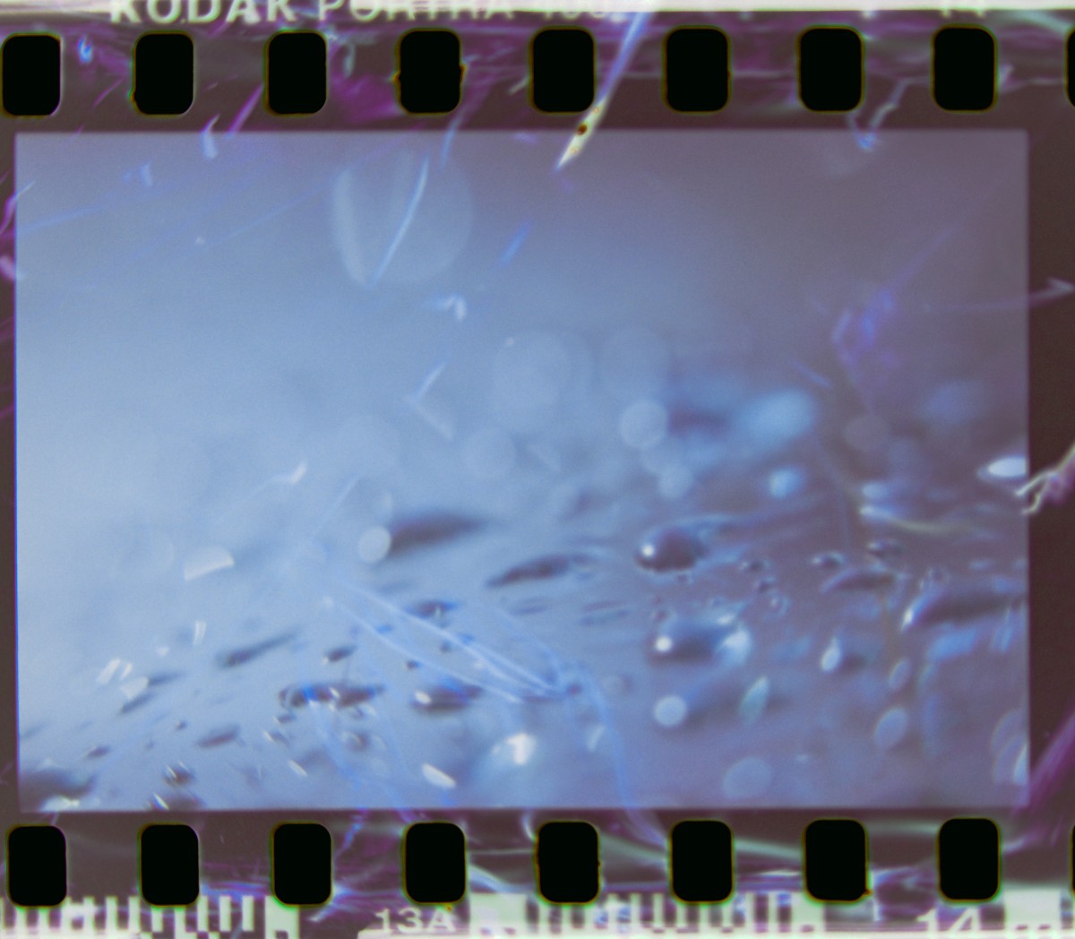 Lens Tests16©JamesECockroft 20150426 Corel AfterShot Pro 21