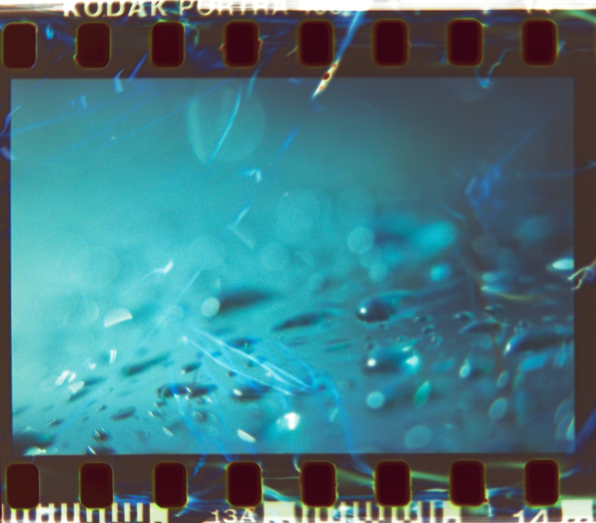 Lens Tests16©JamesECockroft 20150426 Raw Therapee 2 RAW black white corrections1