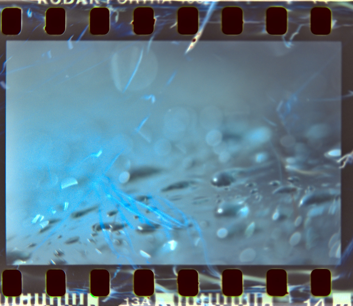 Lens Tests16©JamesECockroft 20150426 darktable1