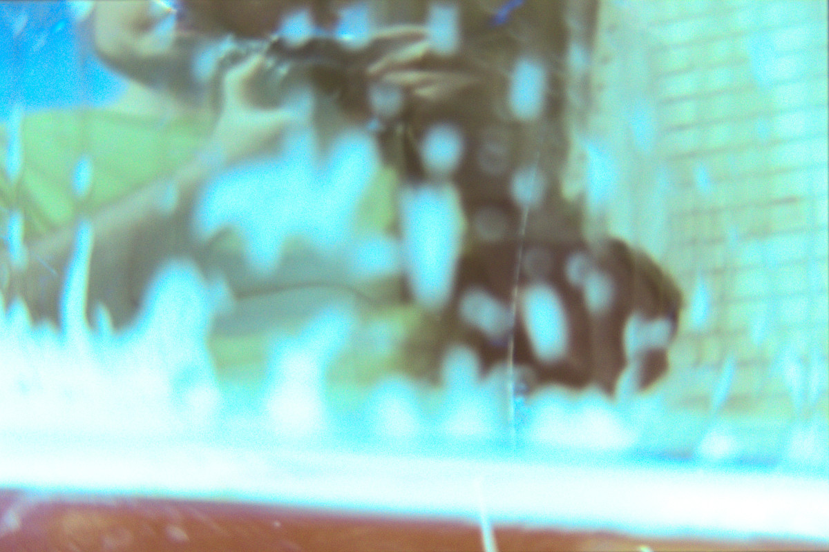 Lens Tests18©JamesECockroft 20150426