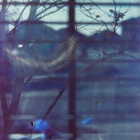 Petzval flare 1©JamesECockroft 20150228