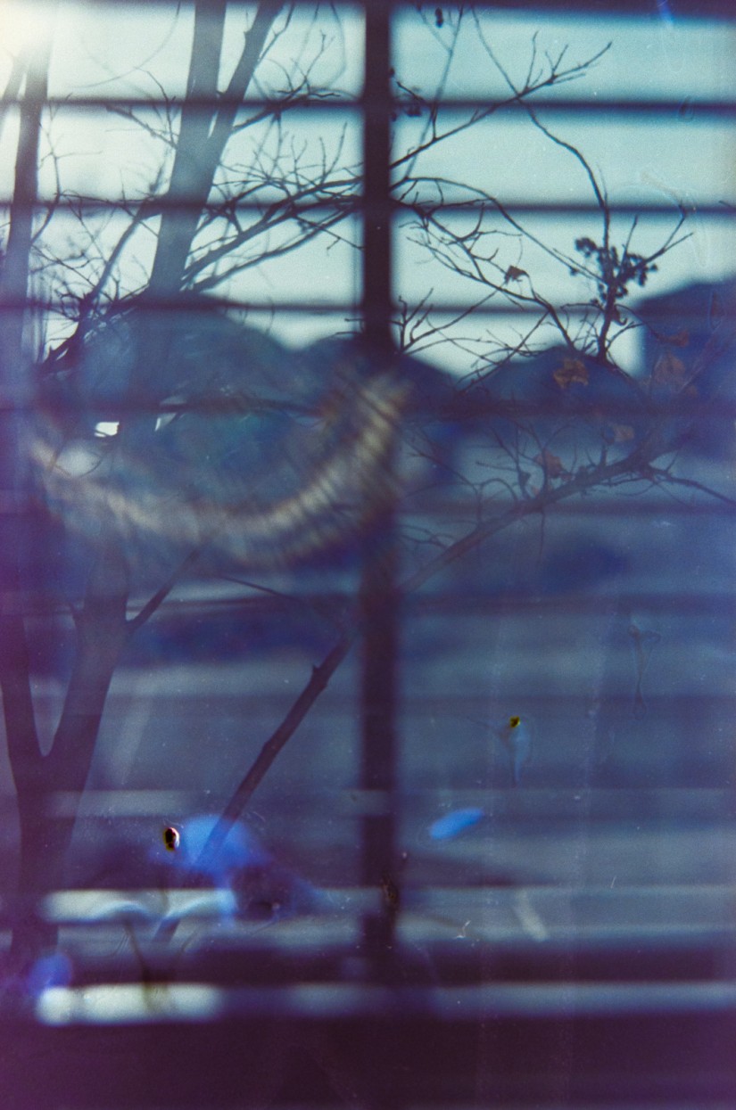 Petzval flare 1|©JamesECockroft-20150228