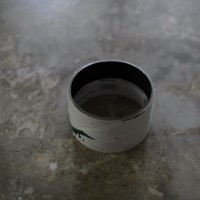 Rebuilding the Scanner21©JamesECockroft 20150110