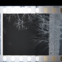 Rebuilding the Scanner39©JamesECockroft 20150110