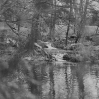 Snapseed share on iPhoneDiana can see edits 2©JamesECockroft 20150416