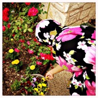 Testy DSPO Test Roll 262©JamesECockroft 20150422