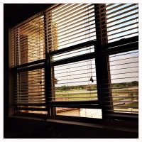 Testy DSPO Test Roll 268©JamesECockroft 20150422