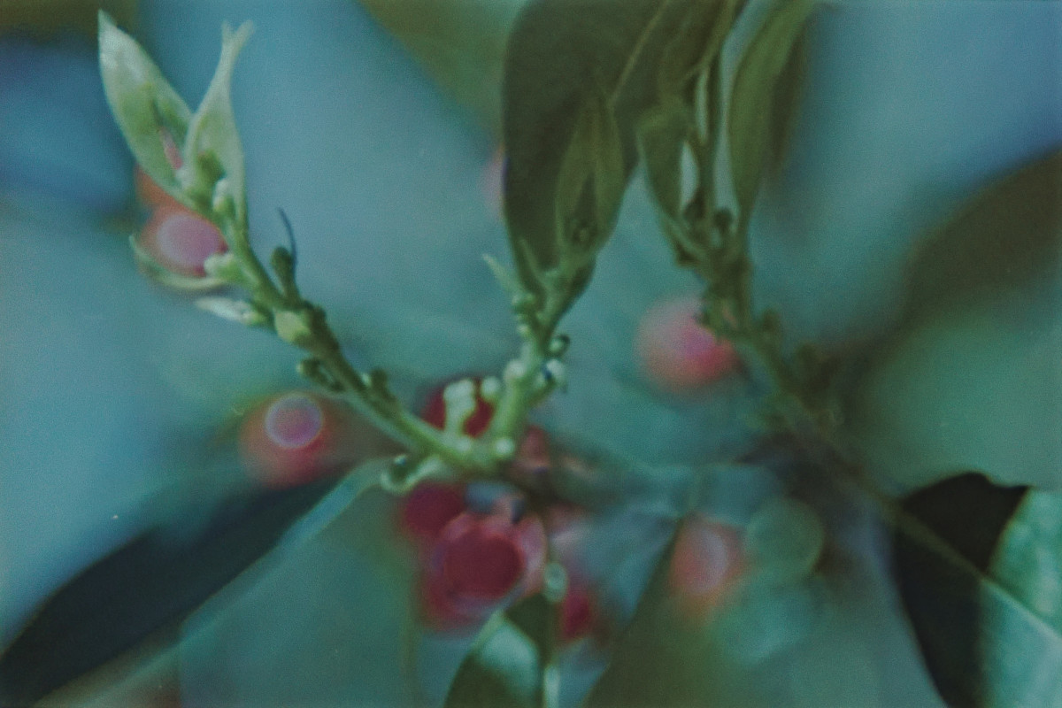 Texas Discovery Gardens34©JamesECockroft 20150426 1