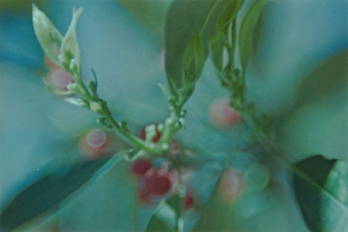 Texas Discovery Gardens34©JamesECockroft 20150426