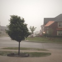 Thirty Six roll 315©JamesECockroft 20150425