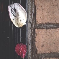 Thirty Six roll 317©JamesECockroft 20150425