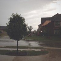 Thirty Six roll 320©JamesECockroft 20150425