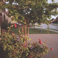 Thirty Six roll 323©JamesECockroft 20150425