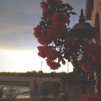 Thirty Six roll 325©JamesECockroft 20150425