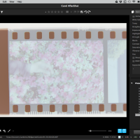 Tone Curve swap preset