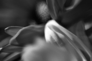 Unnatural 17 ©JamesECockroft 20140130c1p