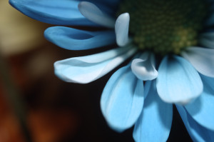 Unnatural 45 ©JamesECockroft 20140130 1exp wb adjusted DxO 75exposure