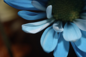 Unnatural 45 ©JamesECockroft 20140130 1exp wb adjusted DxO open