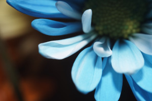 Unnatural 45 ©JamesECockroft 20140130 1exp wb adjustedc1p 10contrast