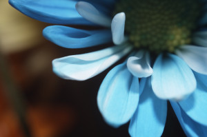 Unnatural 45 ©JamesECockroft 20140130 1exp wb adjustedc1p 75exposure