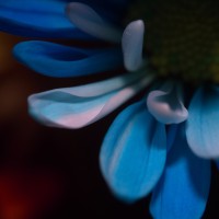 Unnatural 45 ©JamesECockroft 20140130 RPP basic edit Colorimetric Gamma curve