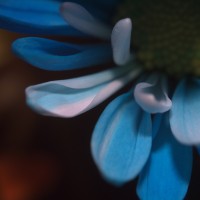 Unnatural 45 ©JamesECockroft 20140130 RPP basic edit Gamma curve