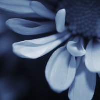 Unnatural 45 ©JamesECockroft 20140130 RPP basic edit Iodocont Blue Simulation