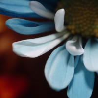 Unnatural 45 ©JamesECockroft 20140130 RPP basic edit K64 PW TruFilm Simulation