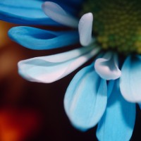 Unnatural 45 ©JamesECockroft 20140130 RPP basic edit K64 TruFilm Simulation