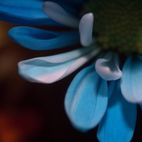 Unnatural 45 ©JamesECockroft 20140130 RPP basic edit L curve