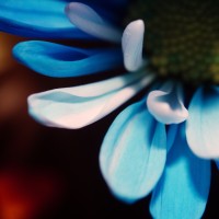 Unnatural 45 ©JamesECockroft 20140130 RPP basic edit LF TruFilm Simulation