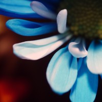 Unnatural 45 ©JamesECockroft 20140130 RPP basic edit LFv2 TruFilm Simulation