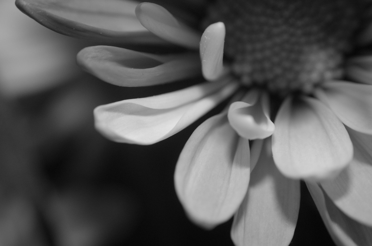 Unnatural 45 ©JamesECockroft 20140130 RPP basic edit Lightness Lab Simulation