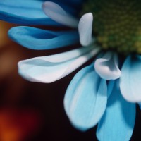 Unnatural 45 ©JamesECockroft 20140130 RPP basic edit P160NC TruFilm Simulation