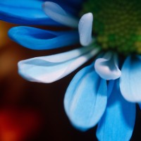 Unnatural 45 ©JamesECockroft 20140130 RPP basic edit TC4 TruFilm Simulation