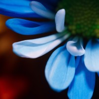 Unnatural 45 ©JamesECockroft 20140130 RPP basic edit TC4v2 TruFilm Simulation