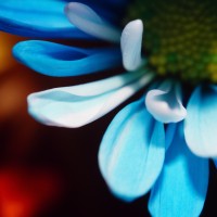 Unnatural 45 ©JamesECockroft 20140130 RPP basic edit V50v2 TruFilm Simulation