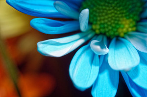 Unnatural 45 ©JamesECockroft 20140130 DxO