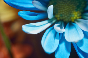 Unnatural 45 ©JamesECockroft 20140130c1p