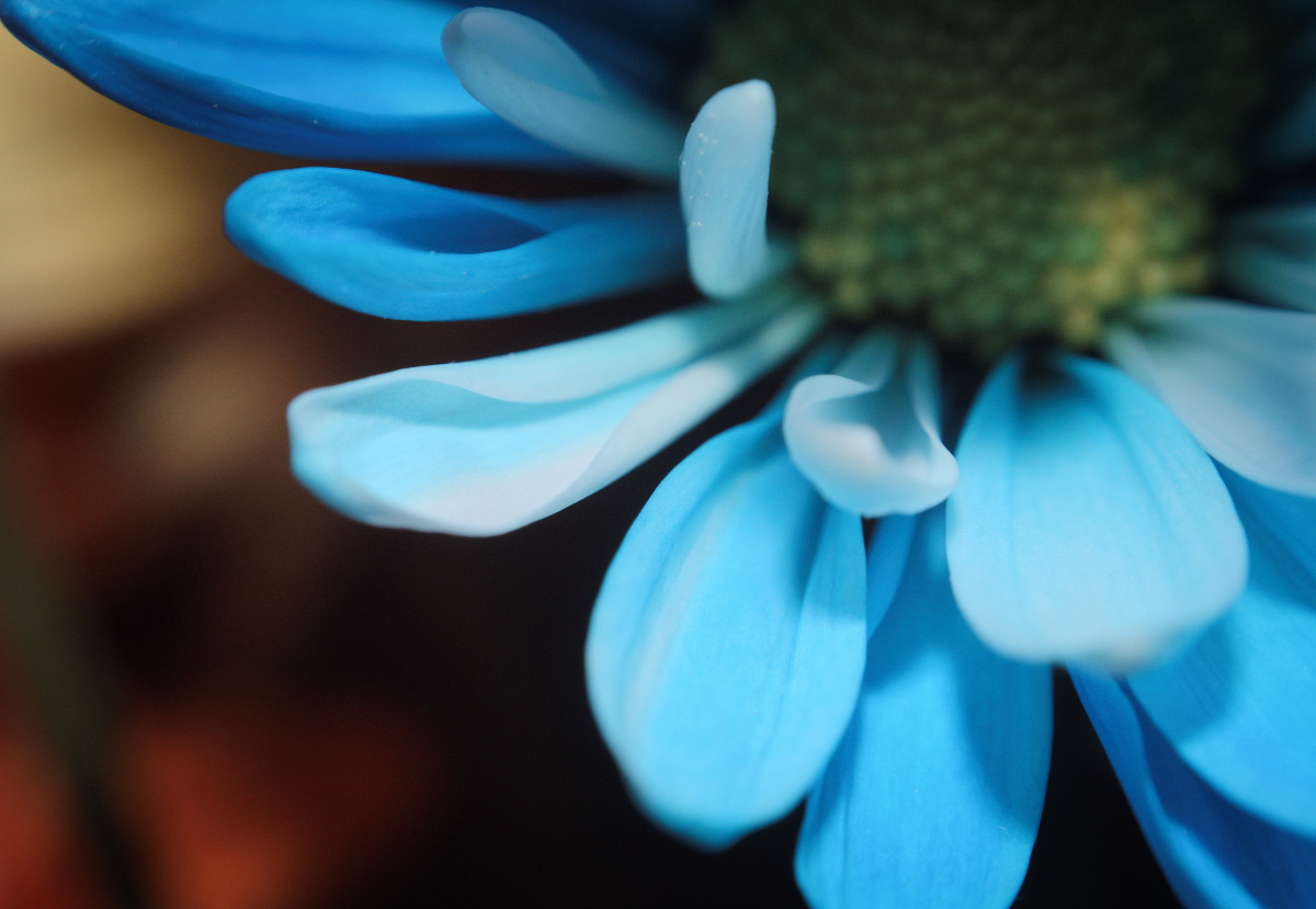 Unnatural45©JamesECockroft 20140130