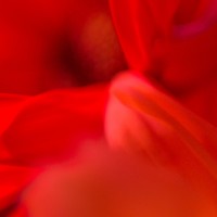 Unnatural 17 ©JamesECockroft 20140130 tint max