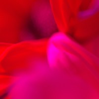 Unnatural 17 ©JamesECockroft 20140130 tint min