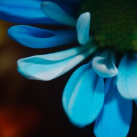 Unnatural 45 ©JamesECockroft 20140130 as shot