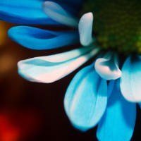 Unnatural 45 ©JamesECockroft 20140130 tint max