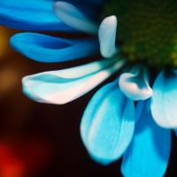 Unnatural 45 ©JamesECockroft 20140130 tint min