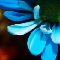 Unnatural 45 ©JamesECockroft 20140130 tint off