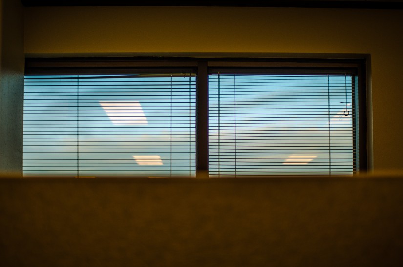 View from the new desk3©JamesECockroft 20150417