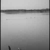 White Rock K1000 Tri X40010©JamesECockroft 20150110