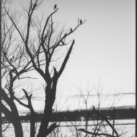 White Rock K1000 Tri X4001©JamesECockroft 20150110