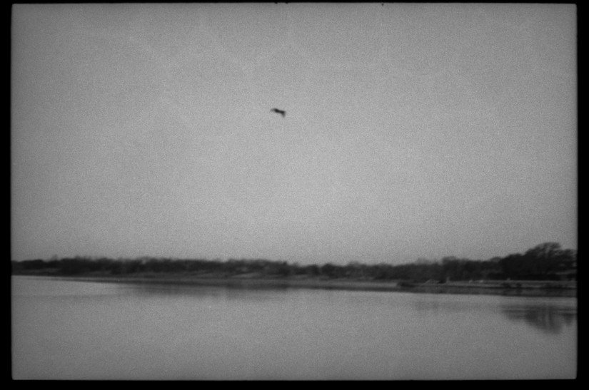 White Rock K1000 Tri X40020©JamesECockroft 201501101